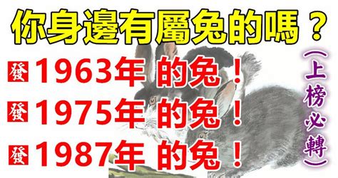 1963年屬兔|【1963 年 生肖】1963 年生肖屬兔運勢大揭密！60歲後的命運將。